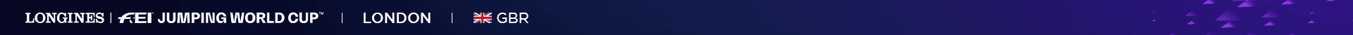 FEI-Ribbon_1920x50_London