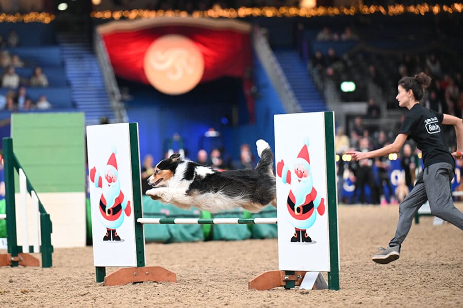 LIHS-Displays-Kennel-Club