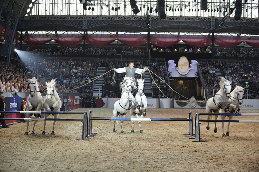 LIHS-Displays-Lorenzo