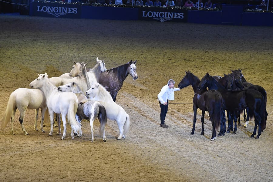 LIHS-Displays-Pignon