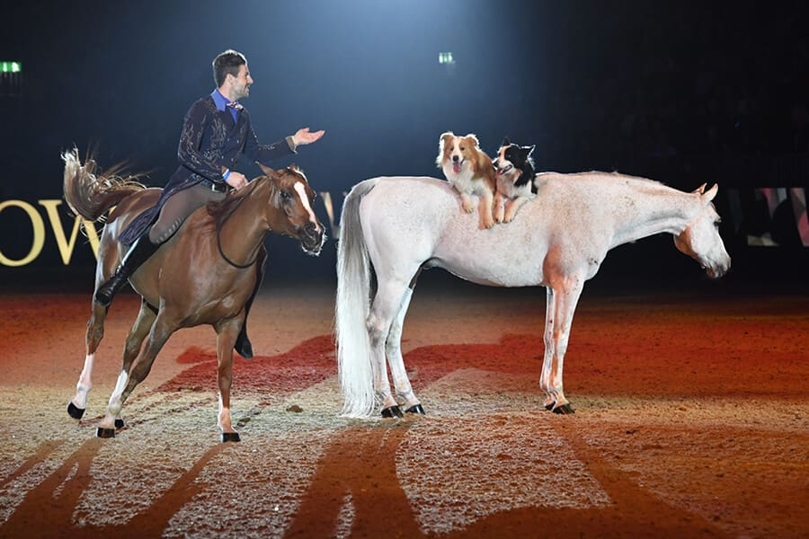 LIHS-Displays-Santi-Sera
