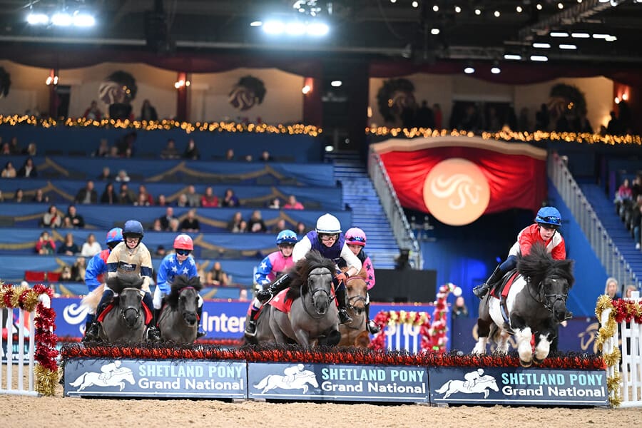 LIHS-Displays-Shetland-Pony