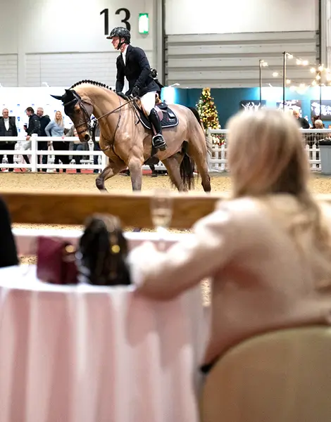 LIHS-2026-Hospitality-Inner-Pics-Phoenix1