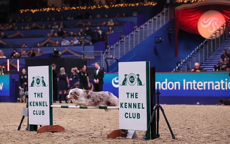 LIHS-2026-Sponsor-Pics-Kennell-Club