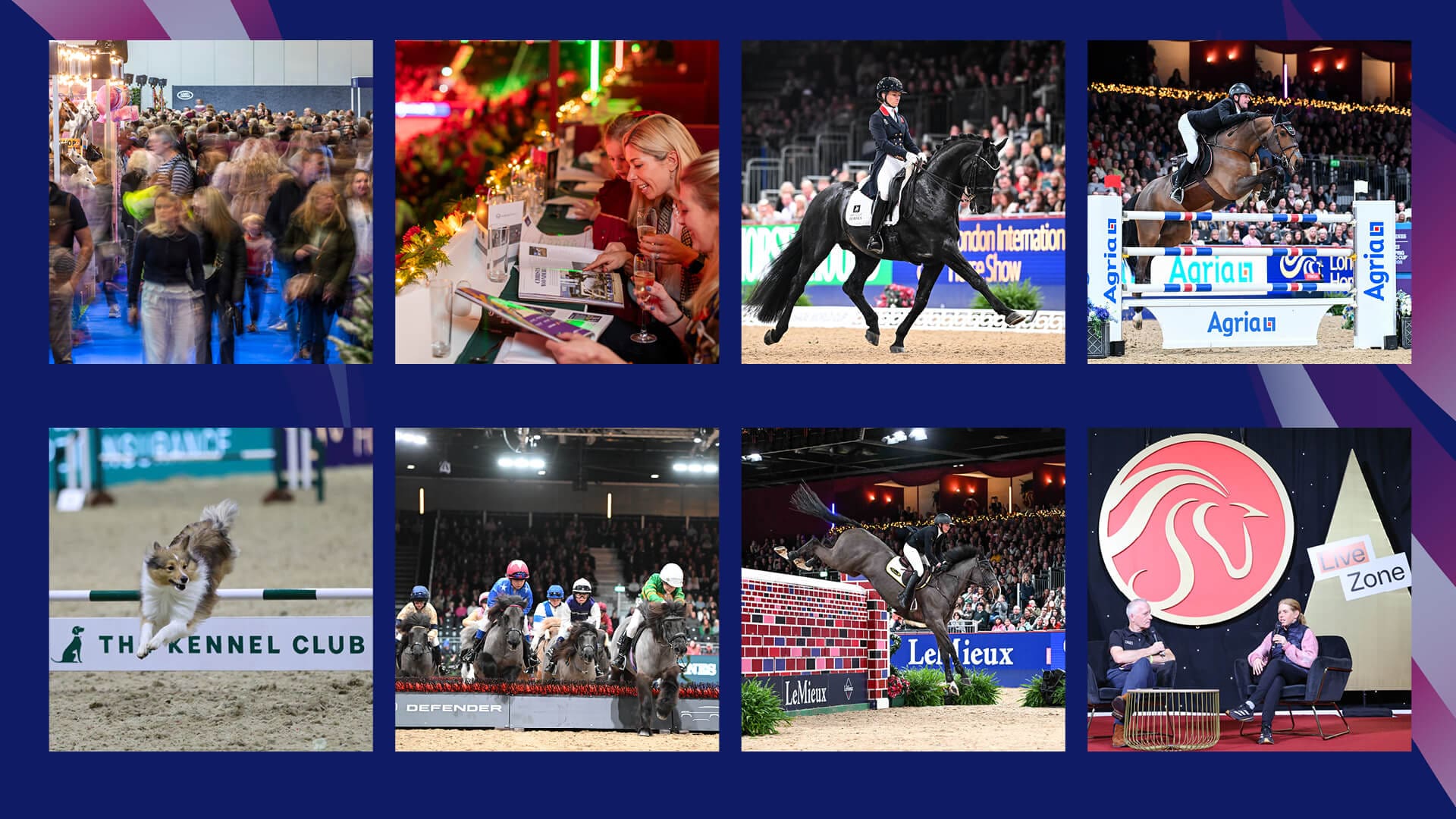 LIHS Pictures for Exhibitors