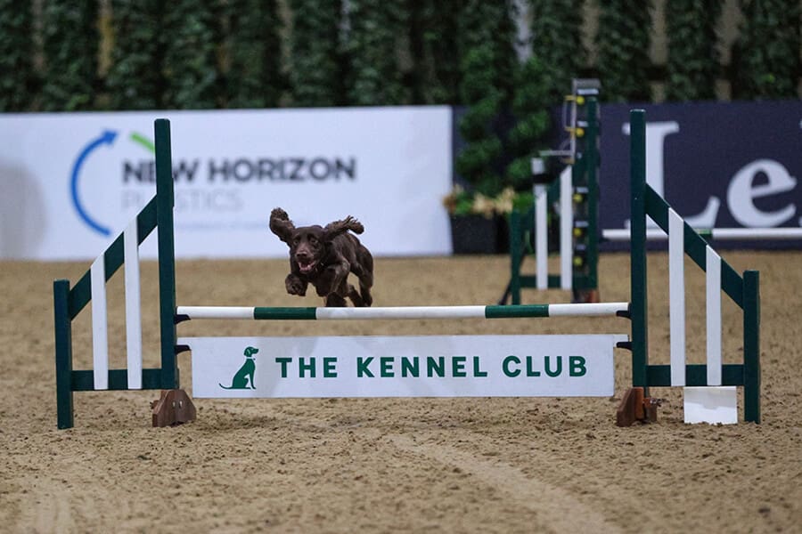 LIHS Tickets Pix-NHP4-Kennel-Club